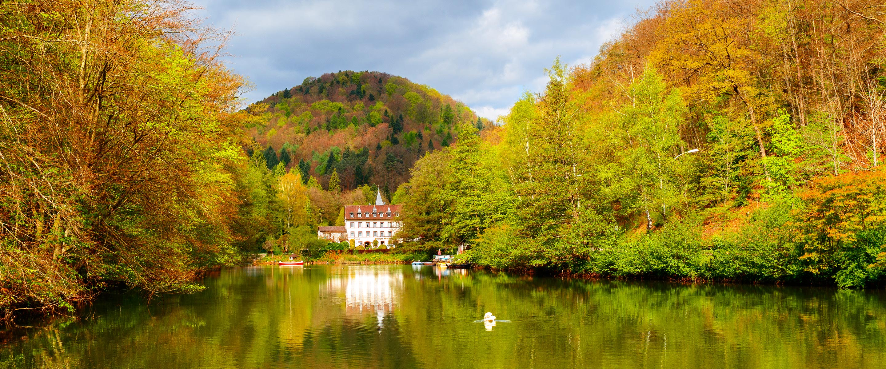 Hotel Pfälzer Wald | The Hotel Pfälzer Wald in Bad Bergzabern